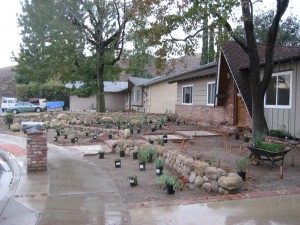 Placing the plants in their purposed locations.
